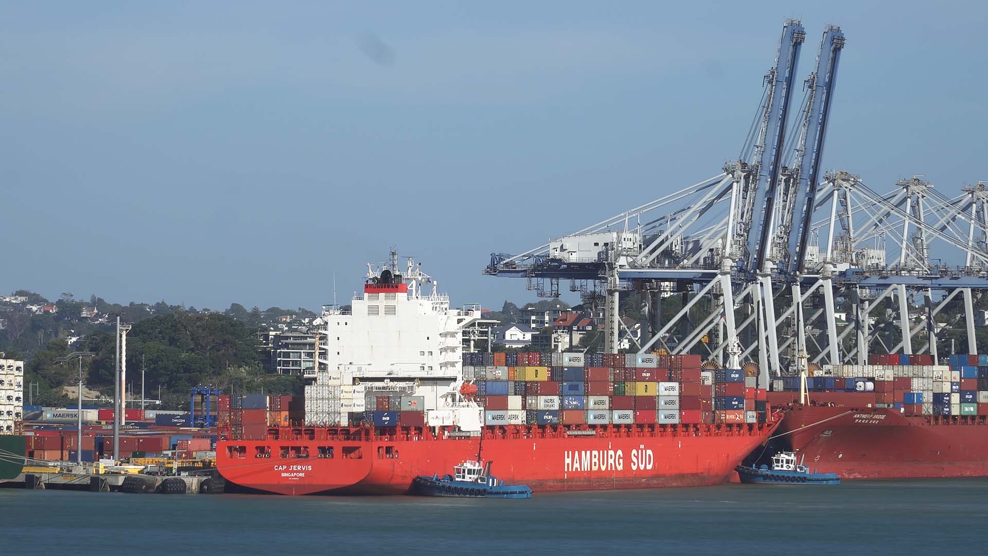 Cap Jervis